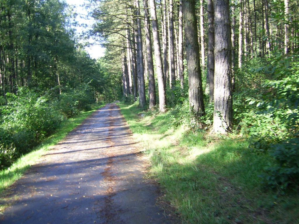 Bosbeekvallei Opoeteren Luaran gambar